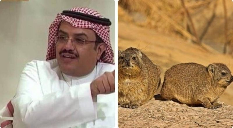 هل لحم ومرقة الوبر يعالج السكري وأمراض القلب؟.. استشاري شهير يكشف مفاجأة