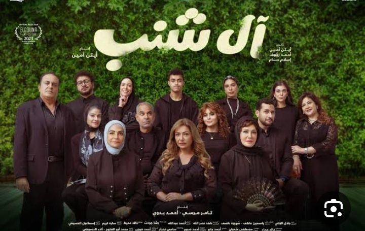 البطولات النسائية تسيطر على الساحة السينما في 2024