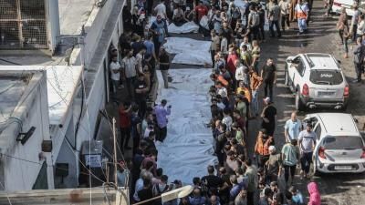 أخبار اليمن : ارتفاع حصيلة شهداء غزة إلى 24448