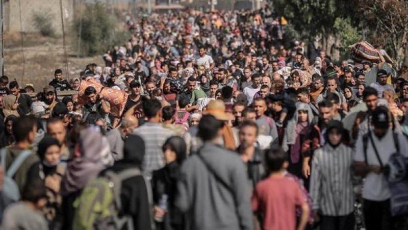 الصحة الفلسطينية: 60 ألف سيدة حامل معرضة لخطر مضاعفات الحمل فى قطاع...