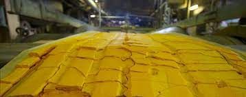 كعكة صفراء اثارت جدلا واسعا لأهميتها الكبرى والموجودة فقط في هذه الدولة العربية !.. ماهي؟