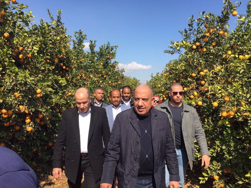 عصمت: التوسع في زراعة محصولي القمح وبنجر السكر