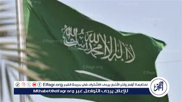 استعلام عن تأشيرة زيارة برقم الجواز 1445 عبر منصة خدمات التأشيرات الإلكترونية