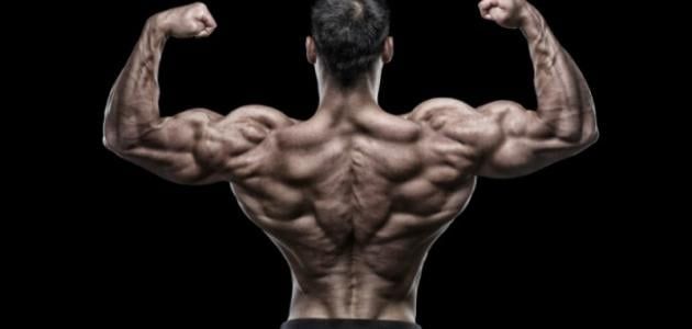 التمارين التي يمكن ممارستها لتقوية عضلات الظهر وتحسين الوضعية الجسدية