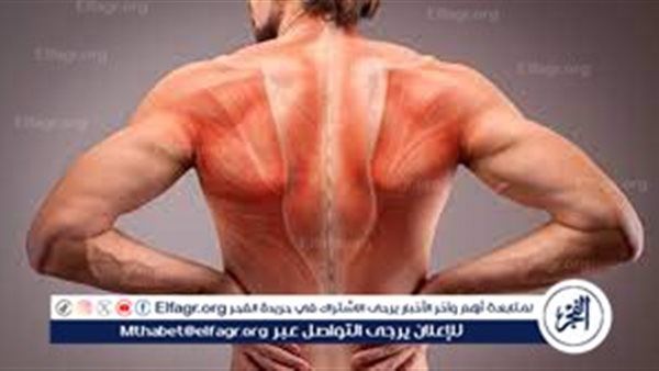 التمارين التي يمكن ممارستها لتقوية عضلات الظهر وتحسين الوضعية الجسدية