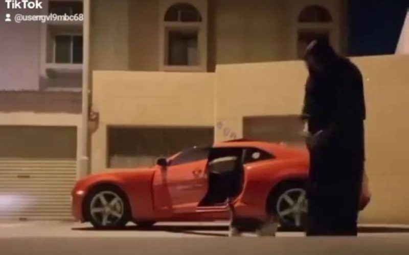 اتفرج الفاجعة التي حدثت لهذه الفتاة عندما أرادت إطعام قطة في الشارع!!