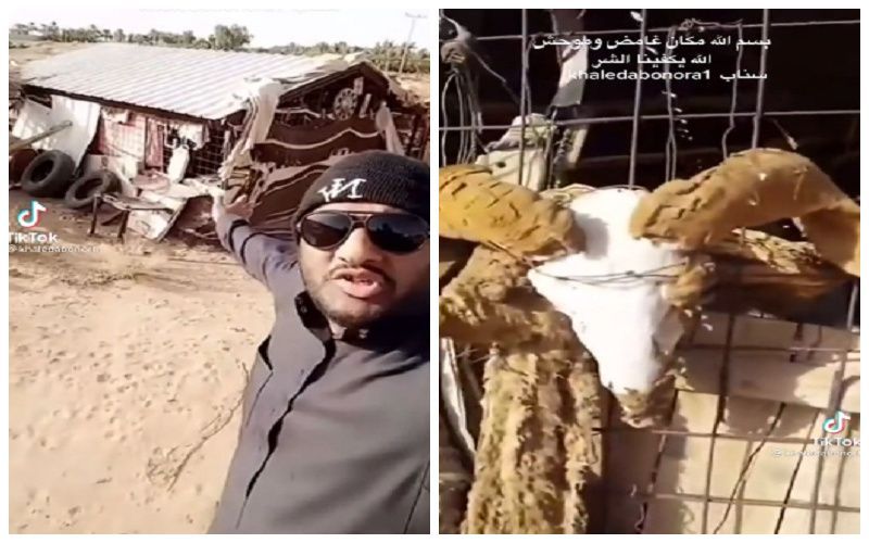 سعودي يعثر على “عشة” مهجورة وسط الصحراء.. وعندما اقترب منها كانت المفاجأة المرعبة!..اتفرج الصورة