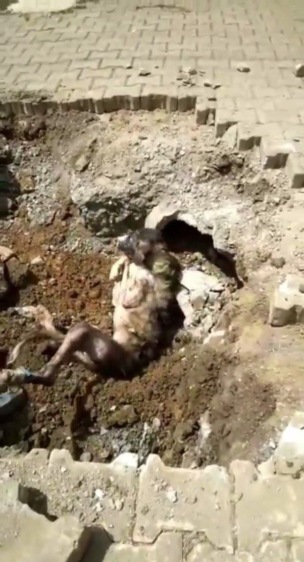 سمع السكان أصوات غريبة قادمة من تحت الأرض في قرية تركية.. وما خرج أصاب الجميع بصدمة “صور”