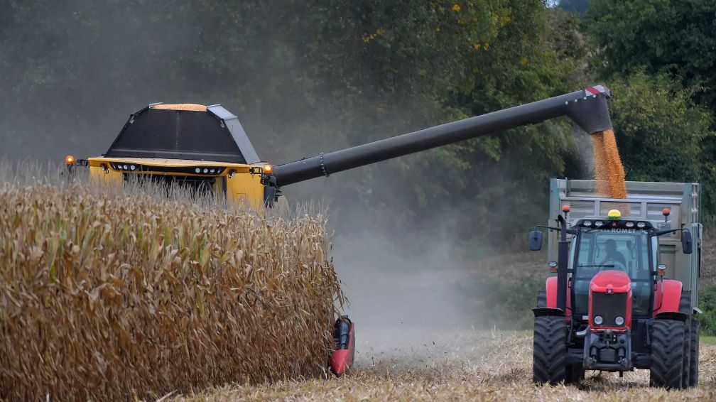 رئيس الاتحاد الروسي لمصدري الحبوب: فكرة التبادل بين دول…