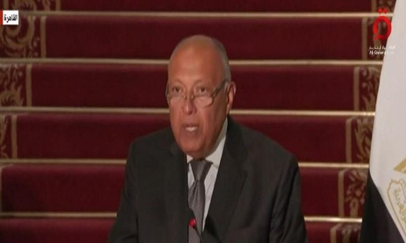 سامح شكري يشدد على ضرورة التوصل لوقف شامل لإطلاق النار بغزة في...