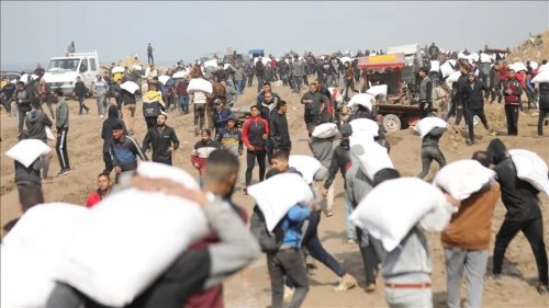 400 دولار سعر كيس الطحين شمال غزة