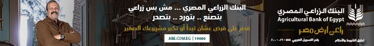 محمود عصمت: القطاع الخاص شريك رئيسي في تنفيذ مشروعات التطوير…