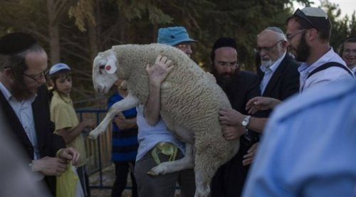 حماس تحذر من تدنيس المستوطنين للمسجد الأقصى بذبح القرابين