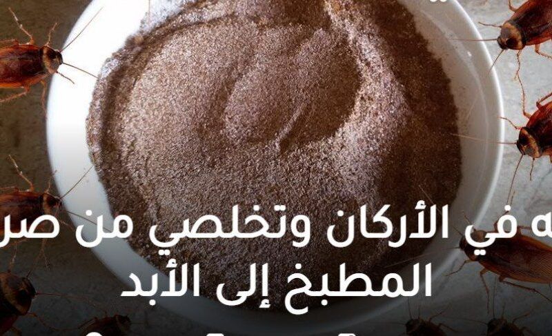 ستنهي معاناتك..خبير سعودي يكشف عن مادة رخيصة الثمن تطرد الصراصير والحشرات من المنزل في 3 دقائق