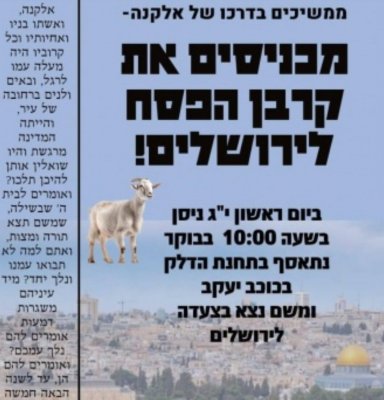 انطلاق مسيرة للمستوطنين مع قرابين الفصح باتجاه القدس