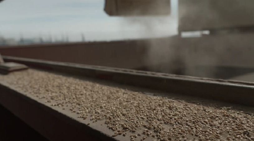 ارتفاع صادرات أوكرانيا من الحبوب في أبريل إلى 6.3 مليون طن