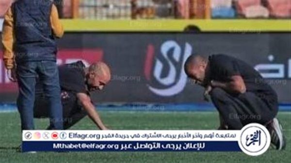سر سلحفاة ملعب مباراة الأهلي والاتحاد السكندري