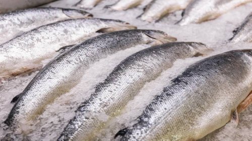 الزراعة:توقيع اتفاقية تمويل معدات مصنع الأسماك والخضار