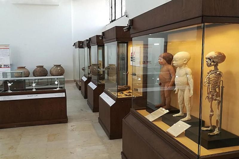 مفكرون ومثقفون: فتح المتاحف مجانا يعزز الهوية الوطنية ويرسخ مفهوم ”الوعي” لدى...