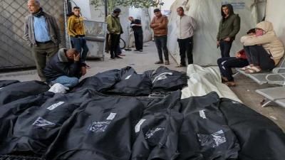 أخبار اليمن : 35386 شهيداً منذ بدء العدوان على غزة