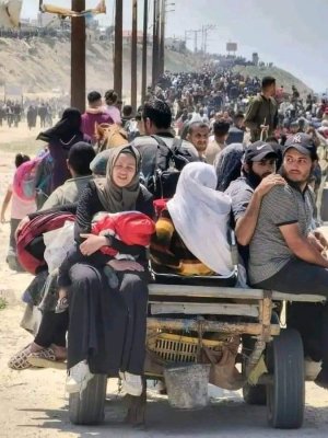 غزة:ارتفاع ضحايا العدوان الإسرائيلي إلى 35709 شهداء