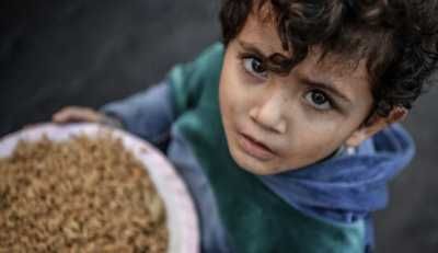 أخبار اليمن : تفاقم أزمة الأمن الغذائي في قطاع غزة