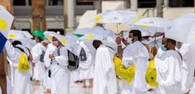 معظم الحجاج المتوفين خلال موسم حج هذا العام من المخالفين