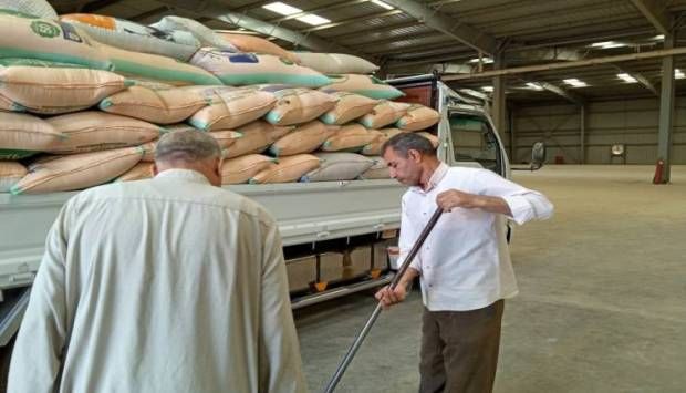 «الحجر الزراعي» يواصل إتمام إجراءات فحص الرسائل الواردة من القمح بموانئ مصر