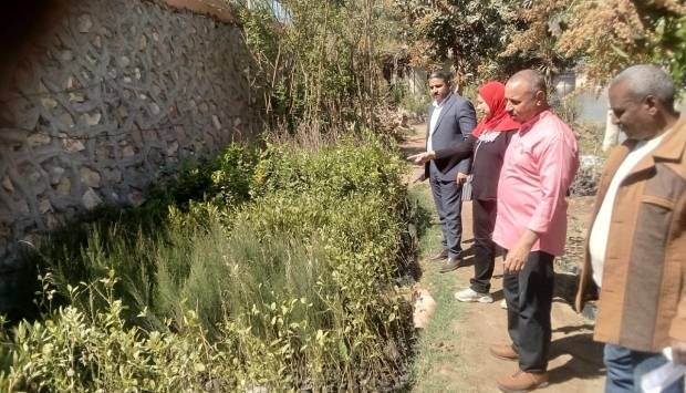 القصير: الانتهاء من توريد 1.3 مليون شجرة لـ7 محافظات