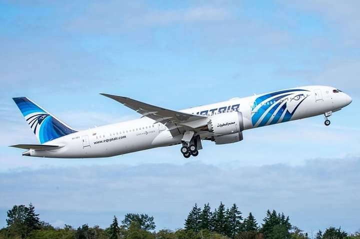 30 يونيو.. خدمات غير مسبوقة وجسور تواصل مستمرة للمصريين بالخارج