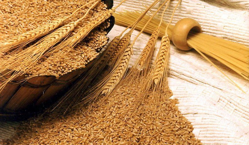 هيئة السلع التموينية تشتري 470 ألف طن قمح في ممارسة دولية