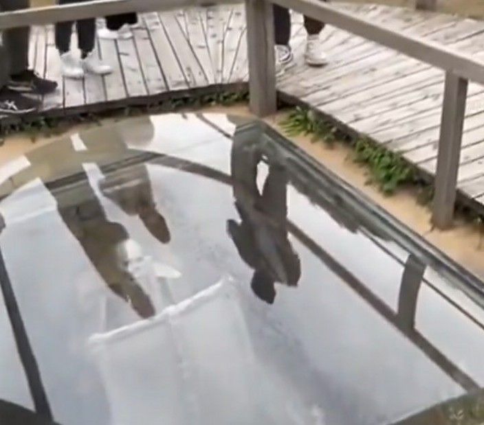 ابتكار قبور زجاجية في الصين لرؤية الموتى يثير الجدل بمنصة "إكس"..اتفرج