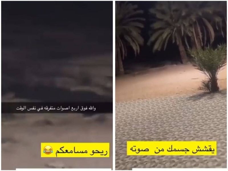 سعودي ذهب لمزرعته في البر فكانت بانتظاره مفاجأة مرعبة اثارت ضجة كبيرة..اتفرج