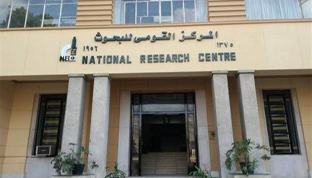 التعليم العالي: «القومي للبحوث» يحقق إنجازا علميا جديدا في علاج أمراض الكبد
