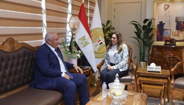 تحسين الخدمات وإنجاز المشروعات.. جهود الدولة في تطوير محافظة الوادي الجديد