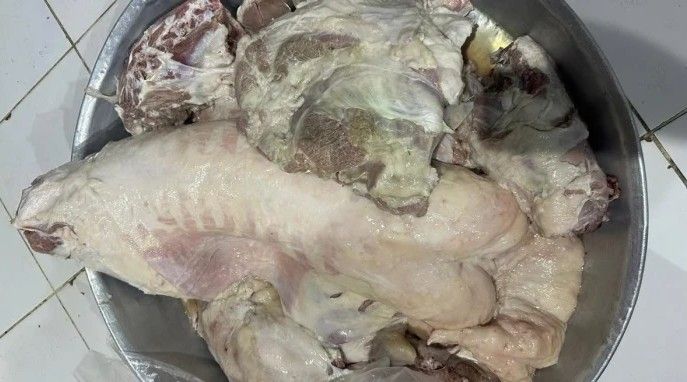 سعودي يحضر ذبائح لمطبخ لتجهيز وليمة لضيوفه.. وعند استلام الطعام كانت المفاجأة التي لاتخطر على بال!..اتفرج