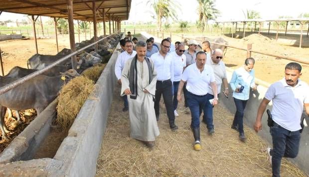 من محطة بني سند.. محافظ أسيوط: ندعم تنمية الثروة الحيوانية والاستفادة منها