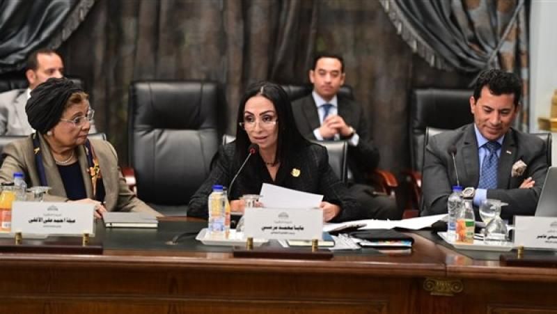 مايا مرسي : الوزارة لا تستطيع أن تحقق أي إنجاز دون شراكة...