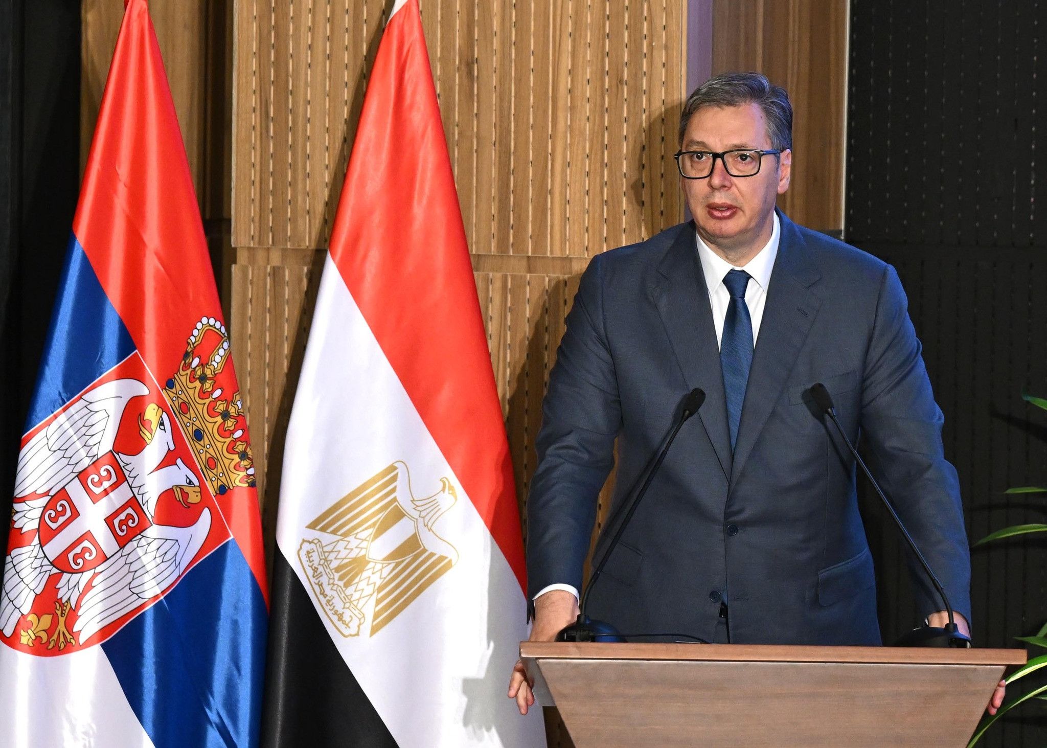 رئيس صربيا: بلادنا حريصة على تعزيز التعاون مع مصر