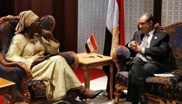 وزير الخارجية يشيد بالعلاقات التاريخية المتميزة بين مصر والسنغال