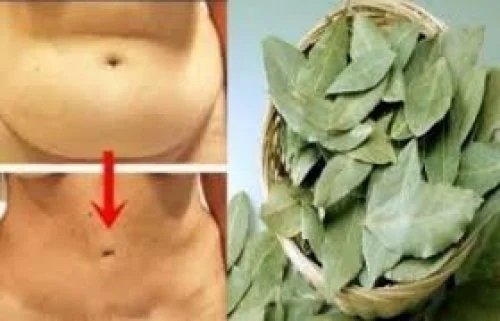 أقسم بالله نزل وزني 14 كيلو ..طبيب سعودي يكشف عن وصفة عجيبة متوفرة بكل بيت لإزالة الكرش المتدلي وإنقاص الوزن