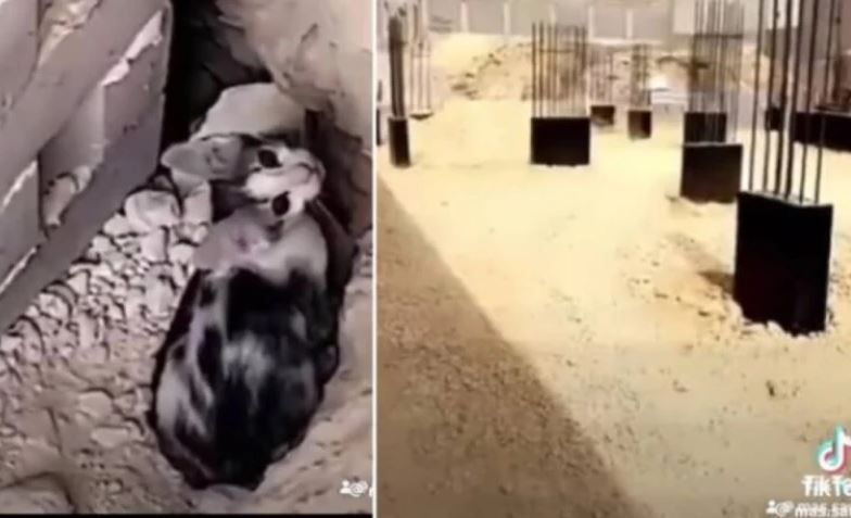 لن تصدق كيف ظهرت!..تفاصيل مرعبة عن الجنية الغامضة التي أوقفت مقاول سعودي عن بناء مشروع ضخم ! ..اتفرج