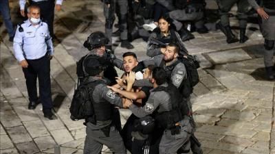 أخبار اليمن : 9920 معتقلاً فلسطينياً بالضفة منذ 7 أكتوبر