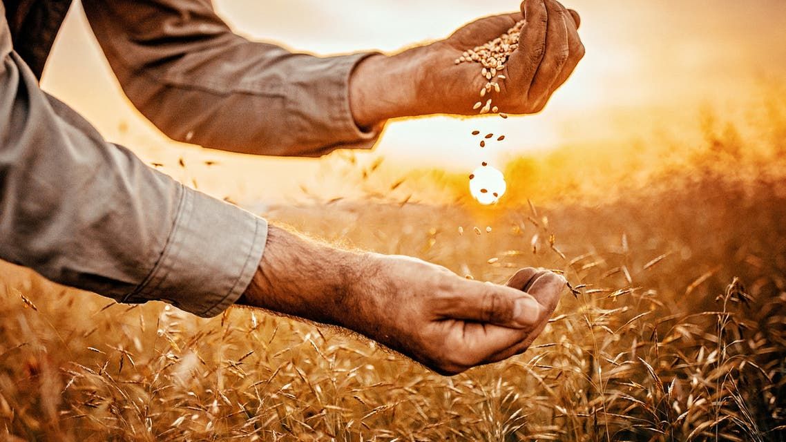 الفاو: أسعار الغذاء العالمية تتراجع قليلا في يوليو