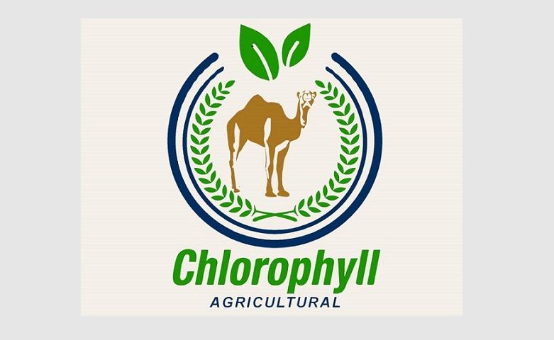 المدير العام لشركة كلوروفيل: كميات الأسمدة المنتجة للسوق…