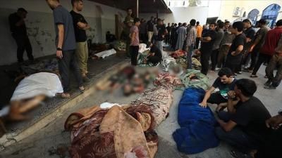 أخبار اليمن : أكثر من 100 شهيد بمجزرة الفجر في غزة