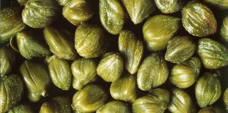 اكتشفوا العشبة العجيبة التي تعالج النقرس والملاريا وتخفف آلام المفاصل وتزيل انسداد الأمعاء!