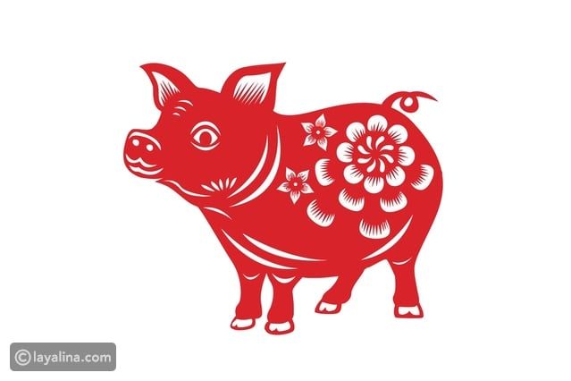 برج الخنزير الصيني: صفاته ومميزاته وعيوبه وتوافقه مع الأبراج