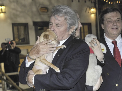 بسبب حبه للكلاب .. دفن آلان ديلون بجوار كلابه