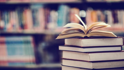 "سؤال جنن كل الناس!!" .. دكتور جامعي يجيب عن سؤال ما هو جمع كلمه إنسان في اللغة العربية؟! .. الإجابة عمرها ما خطرت على بالك